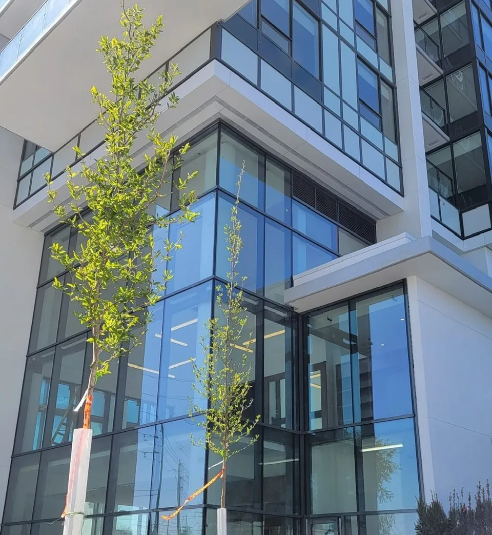 5 Reasons the 3000 Thermal Curtain Wall Is Built for BC's Climate